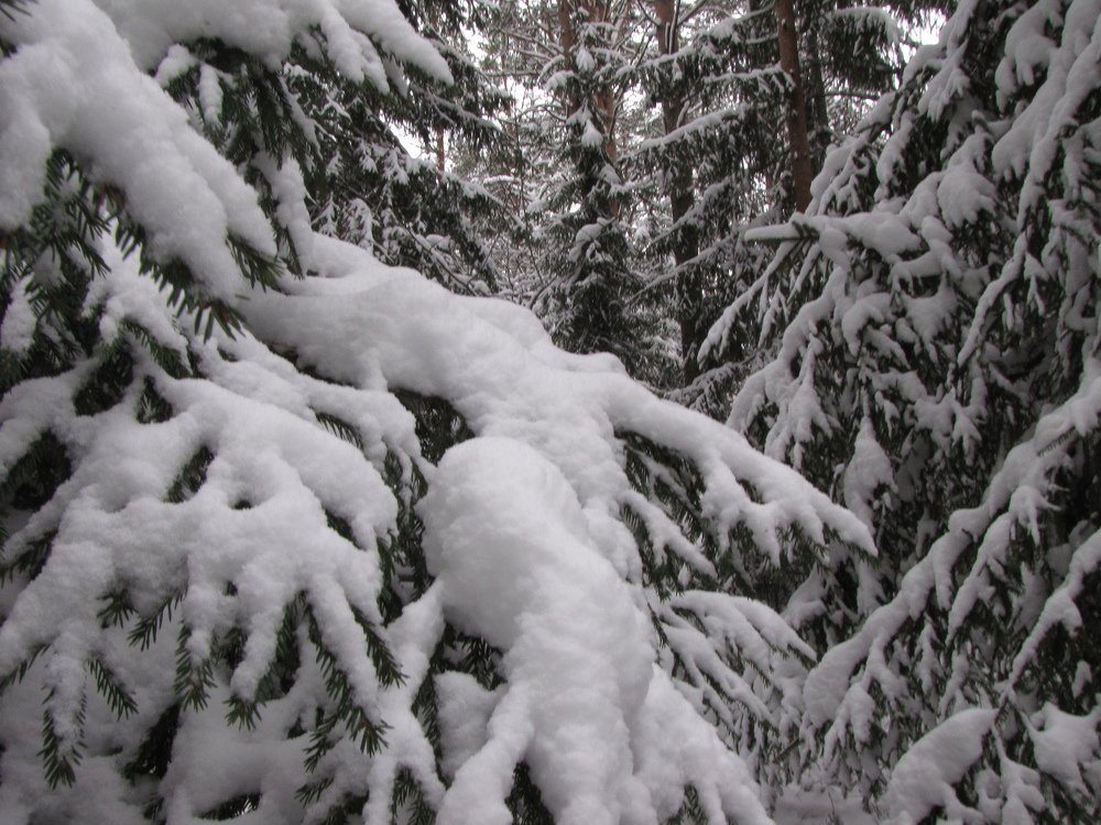 Photograph by Андрей Манаков