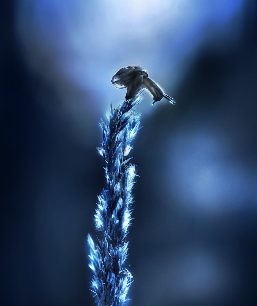 Photograph by Полина Васеева