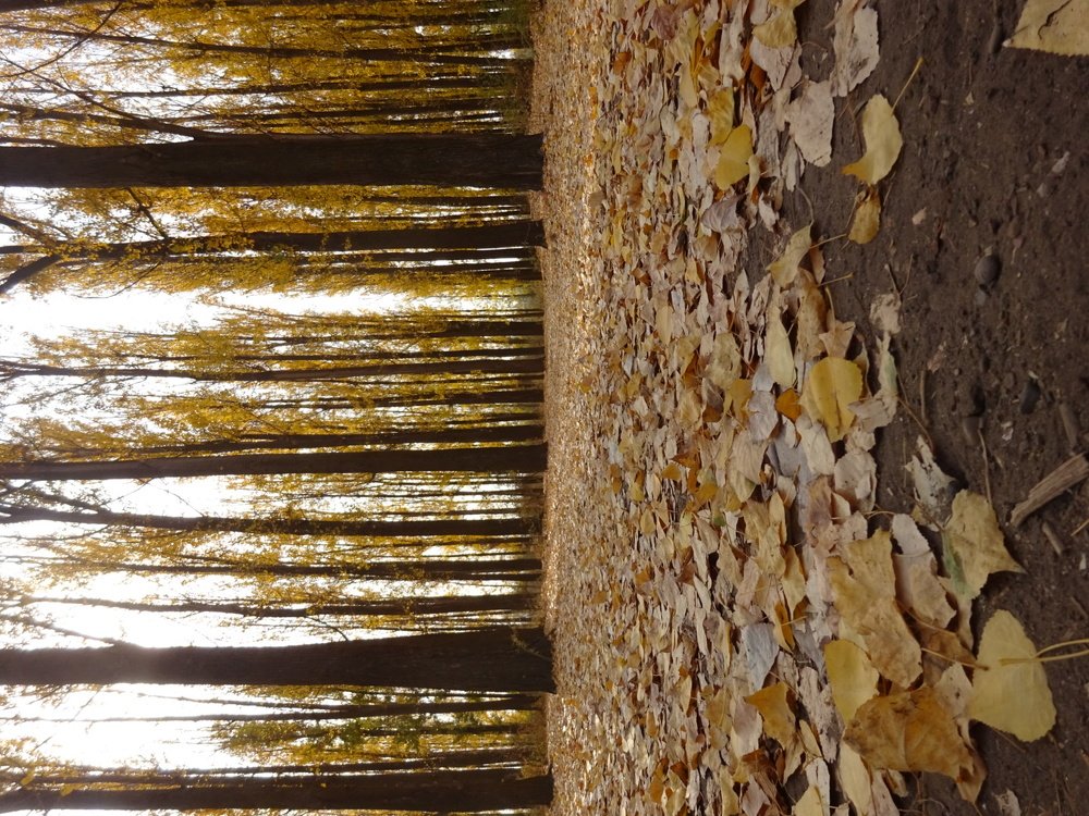 Photo #5360862