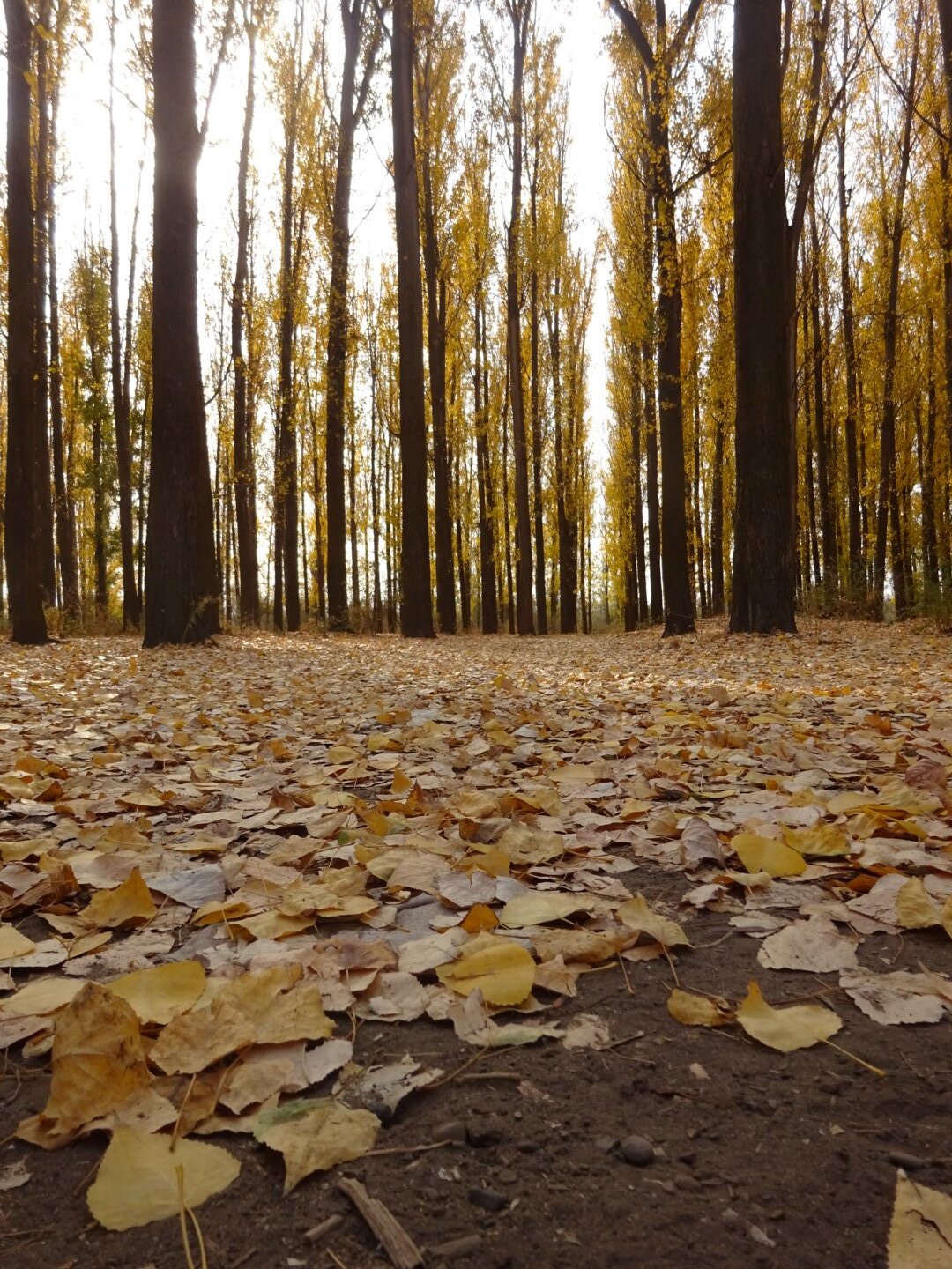 Photo #5360862