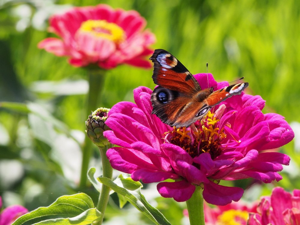 Photograph by Анна Бокарёва