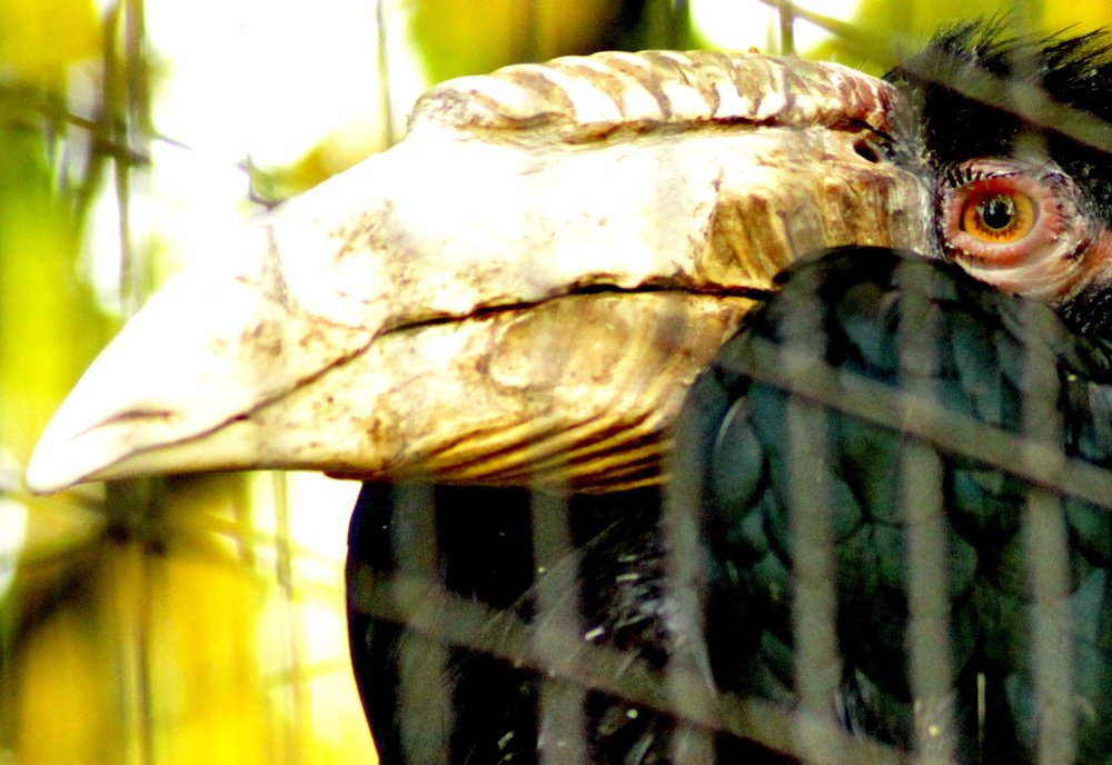 Photograph by Николай Николаевич Леухин