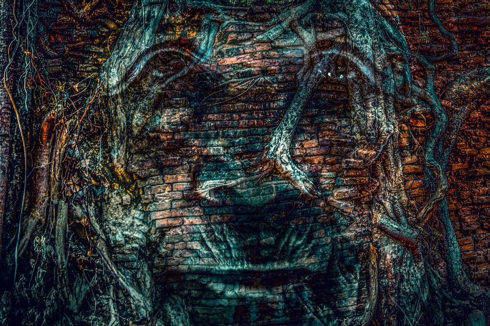 Photograph by Sai Ko Latt