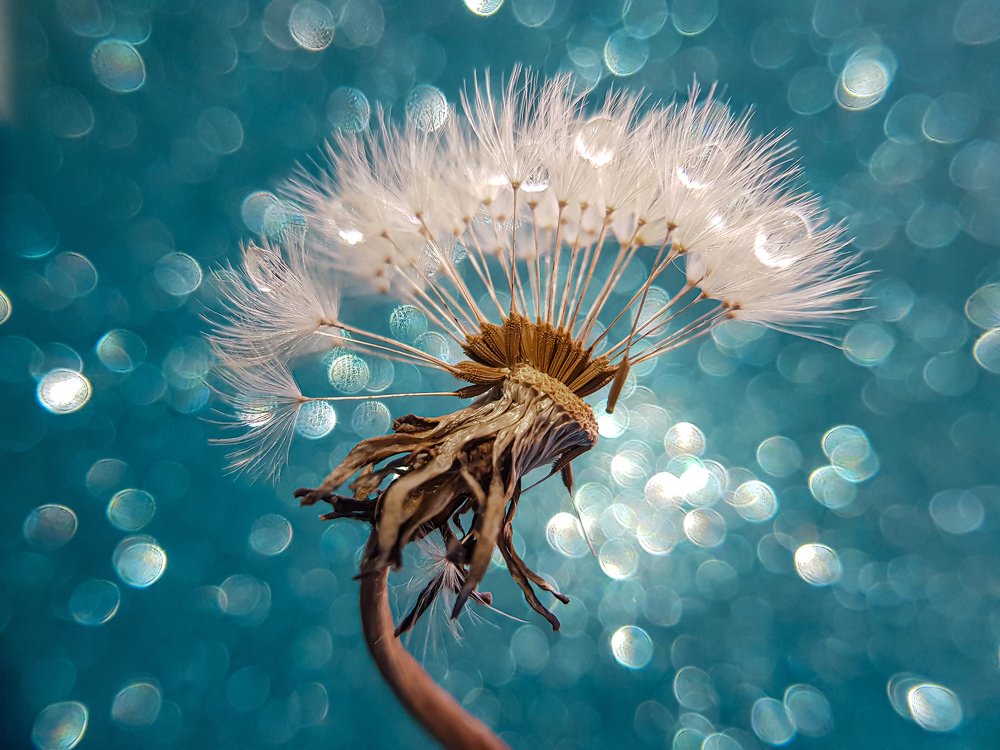 Не такой как все