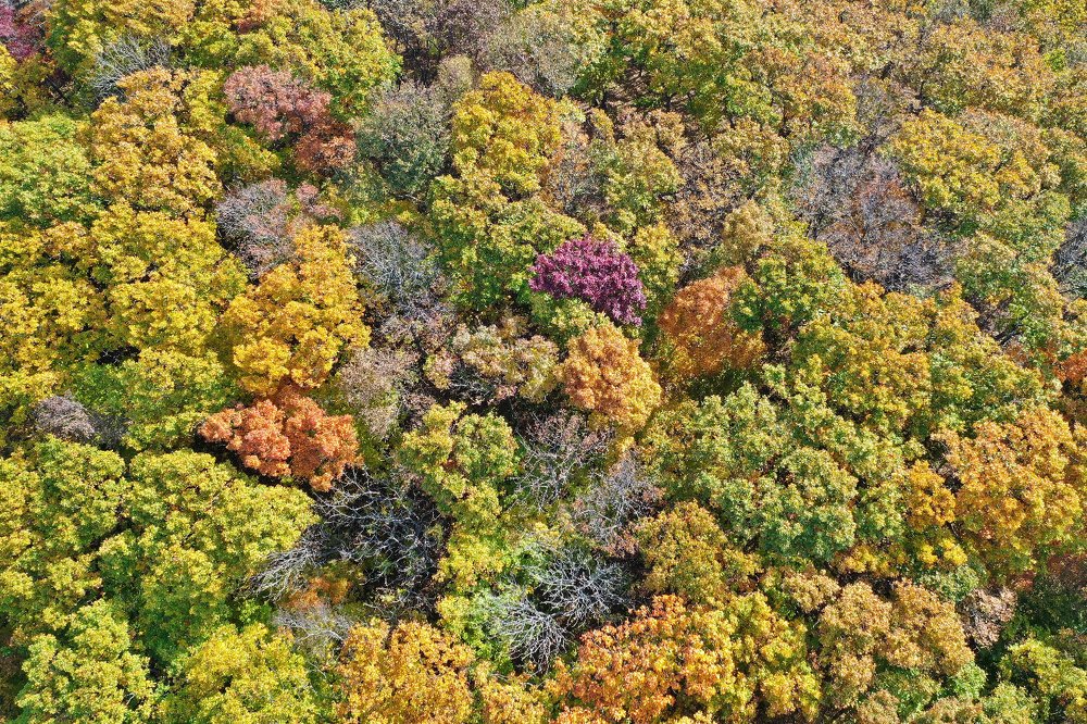 Photograph by Виктор О.