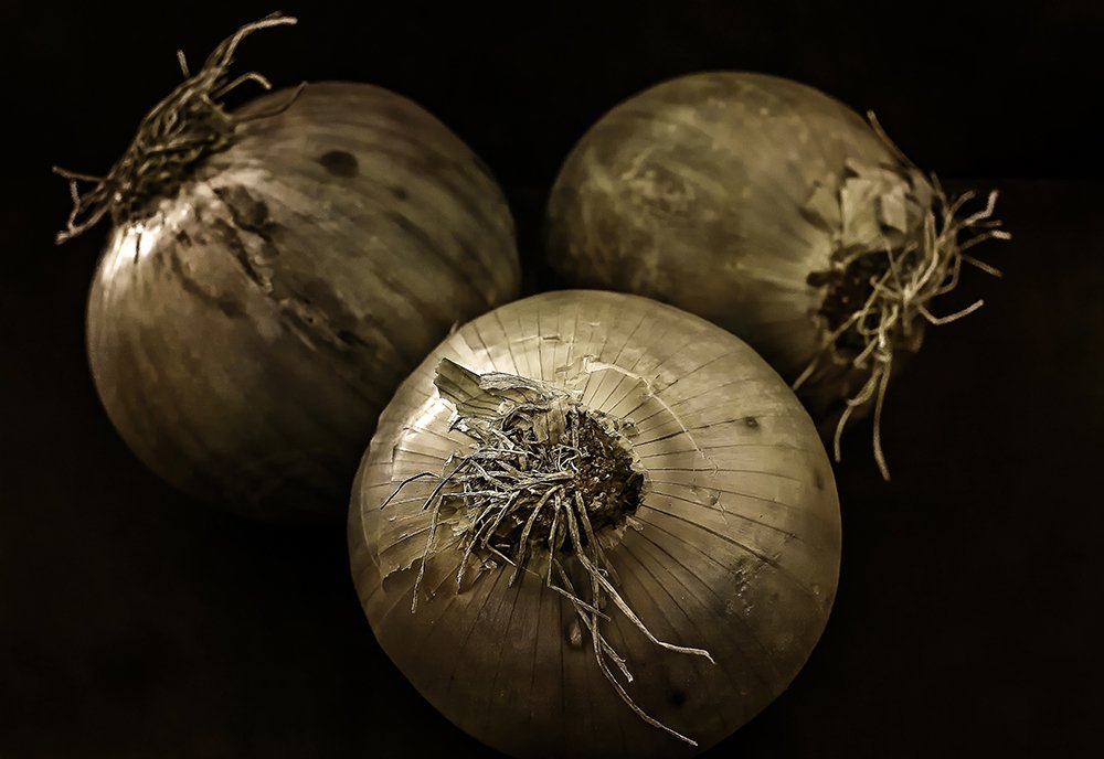 Photograph by Ángel Ros