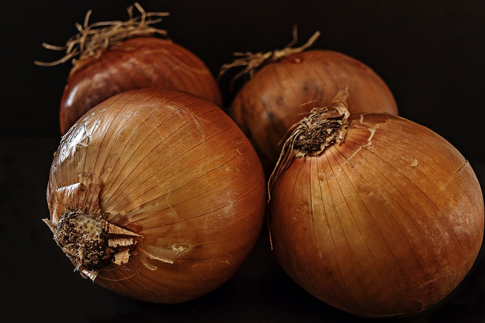 Photograph by Ángel Ros