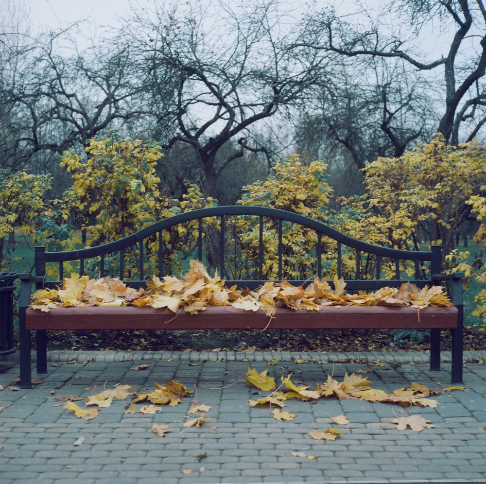 Photograph by Hanna Hertman