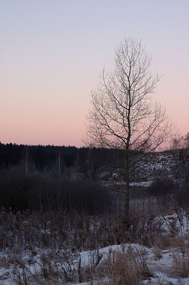 Photograph by Евгений Беленков