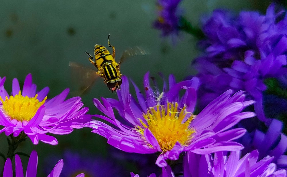 Photograph by Лидия Самойлова