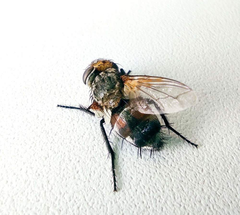 Photograph by Лидия Самойлова