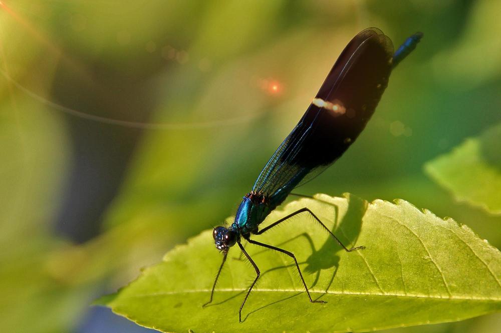 Photograph by Лидия Самойлова