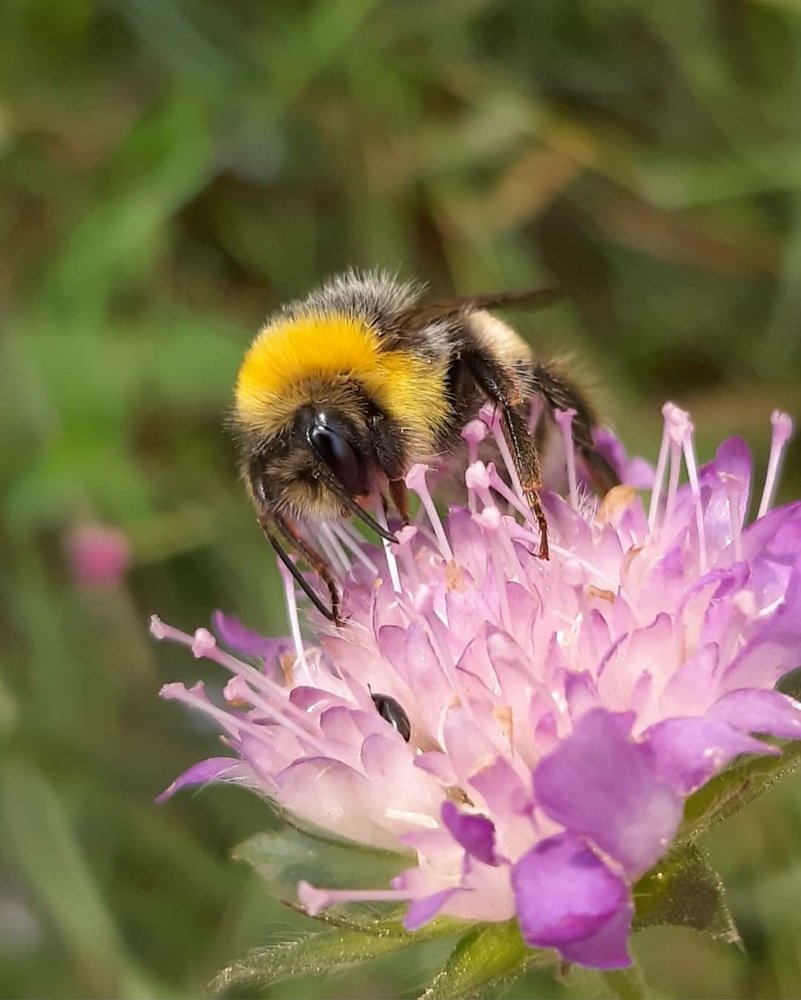 Photograph by Марина Плугина