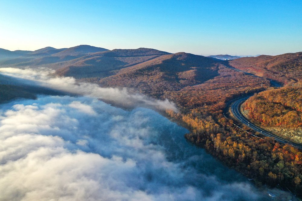 Туманная река / Misty river