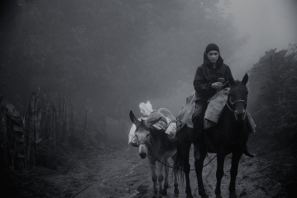 Photograph by Mehdi Hasanzadeh