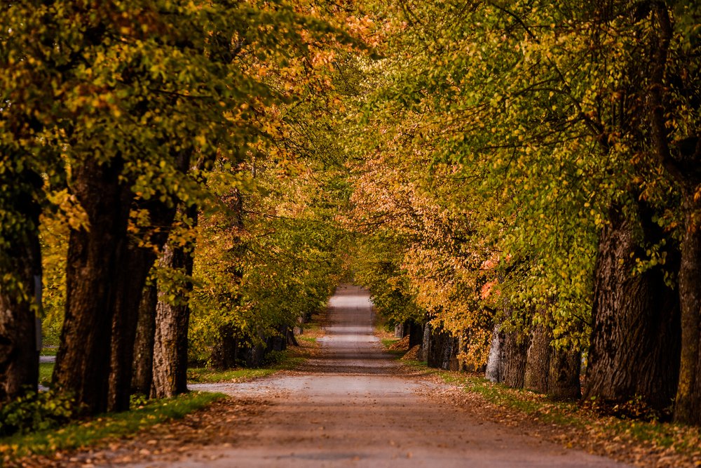 Photograph by Larisa Cekanaviсa