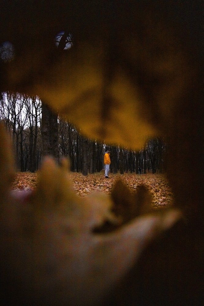 Photograph by Алёна Лихачёва