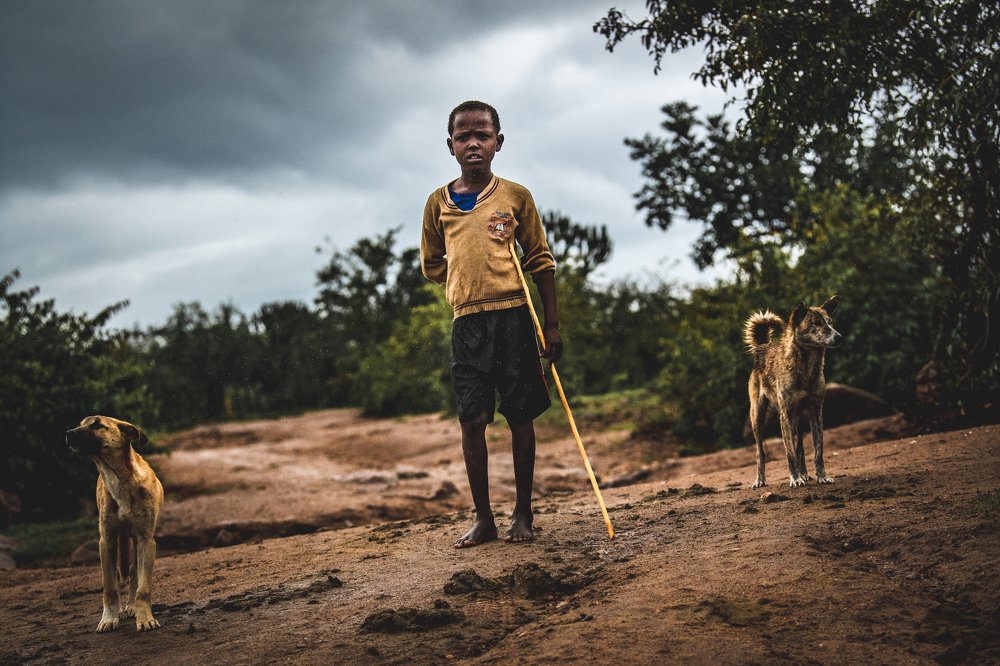 Молодой пастух/Young shepherd