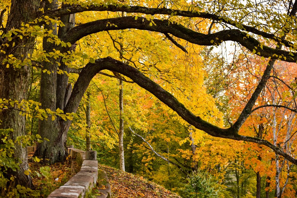 Photograph by Larisa Cekanaviсa