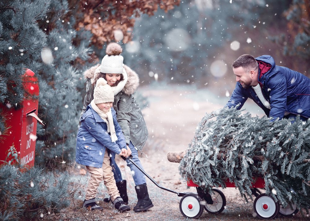 Photograph by Sylwia Skonieczna