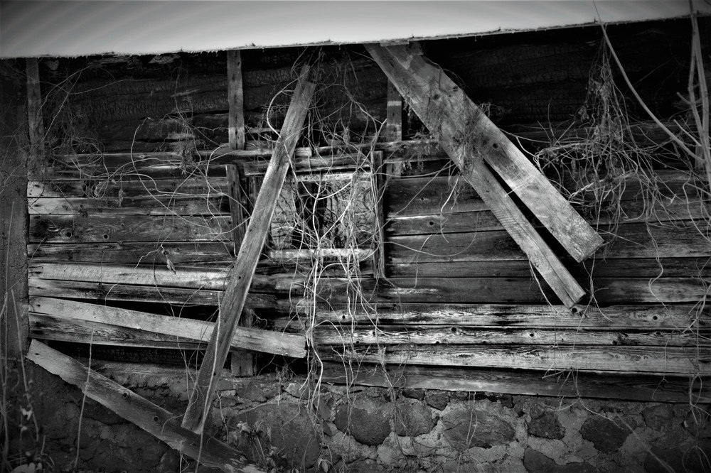 Photograph by Alvydas Baltakis