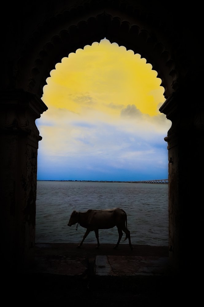 Photograph by Subham jaiswal