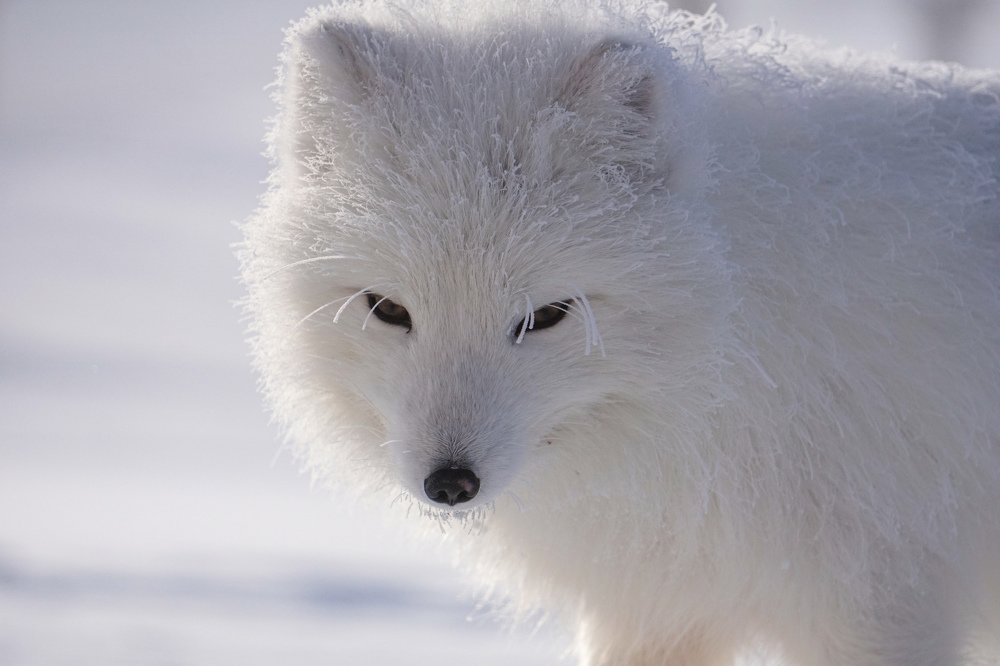 Photograph by Y.u.z.a.k