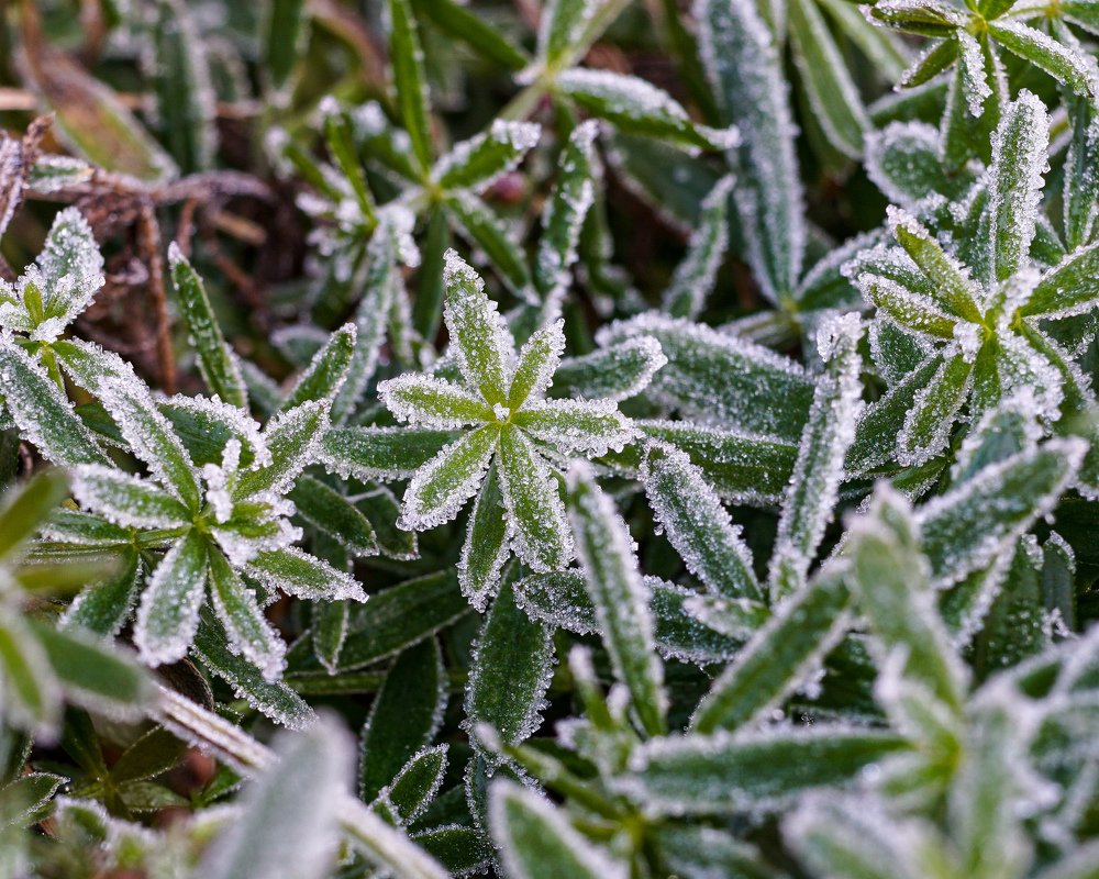 Photograph by Y.u.z.a.k