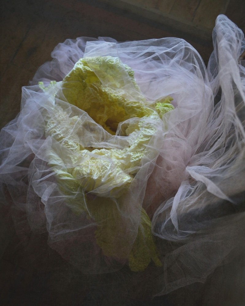 Photograph by Елена Акулова