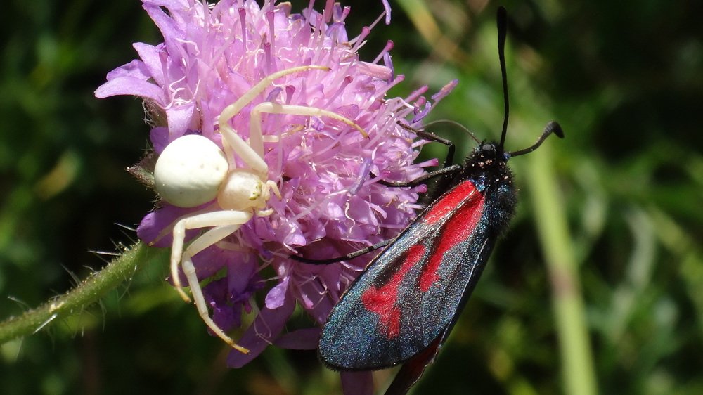 Photograph by Елена Силантьева