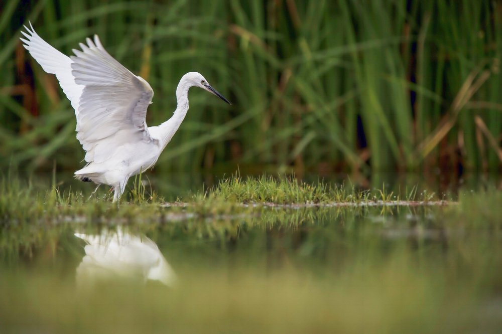 Фотография автора Mehdi EL Baqali