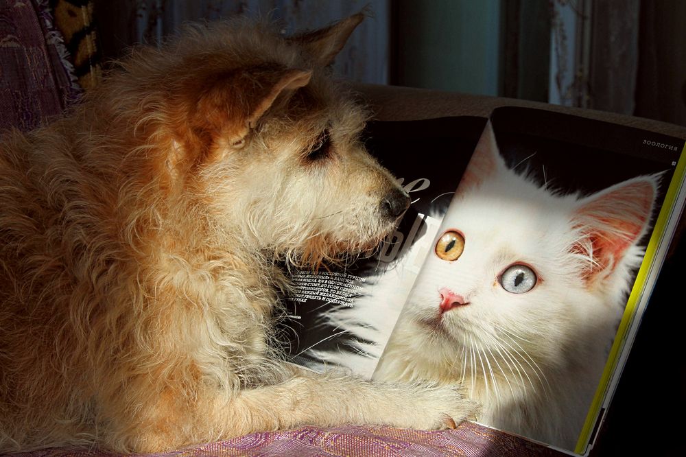 У каждого свои журналы