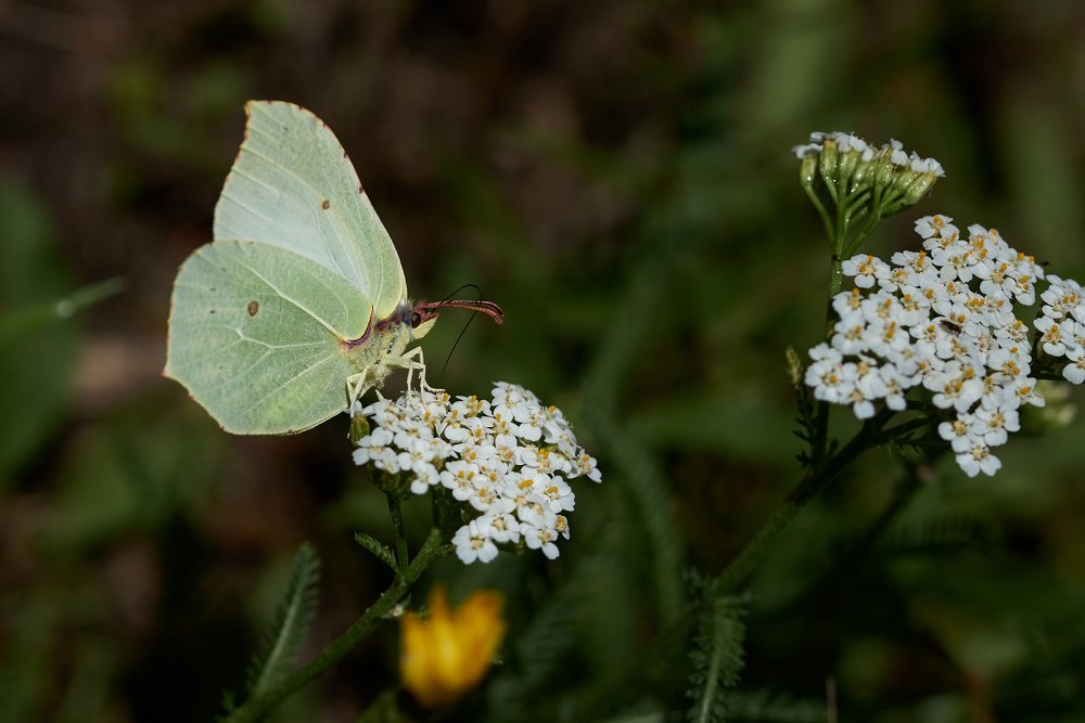 Photograph by Alla Matrosova