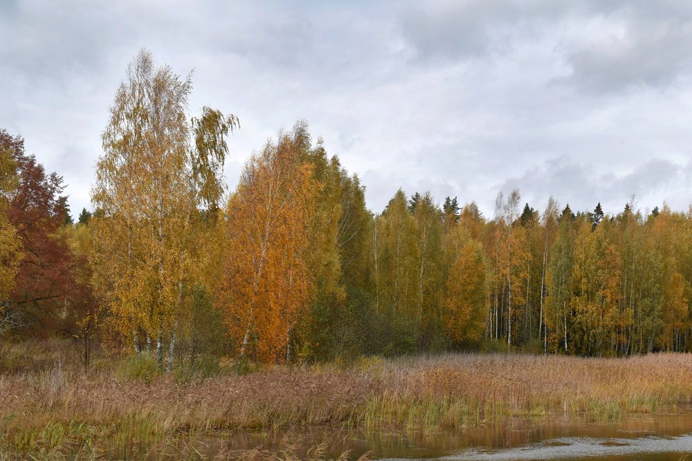 Photograph by Aušrinė Bui