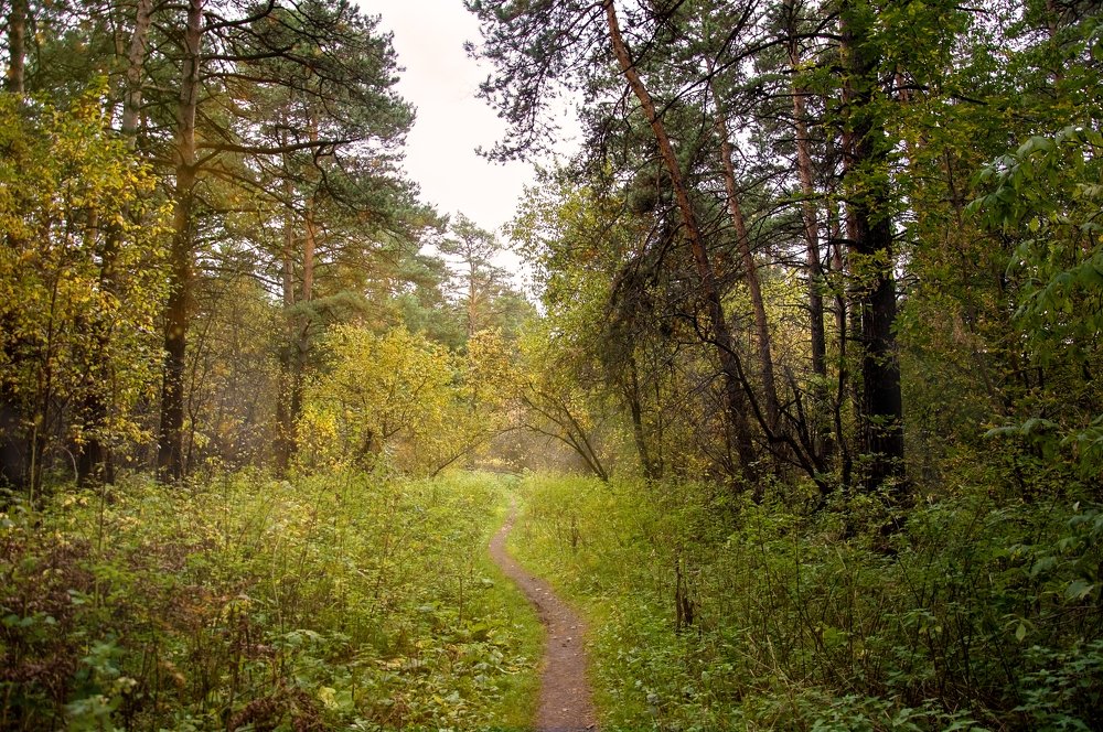 Photograph by Денис Ершов