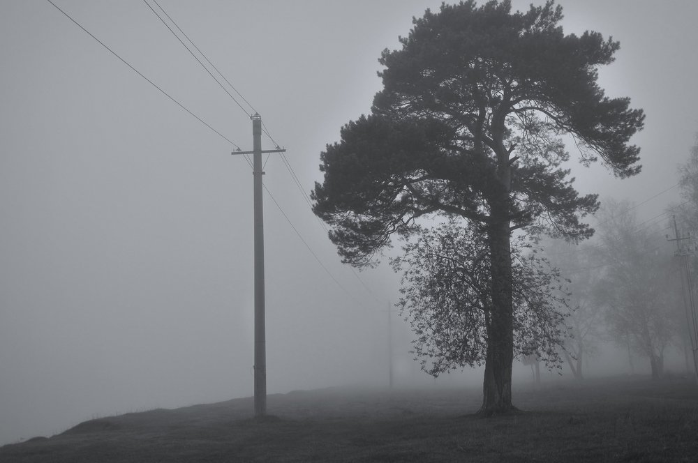 Photograph by Денис Ершов