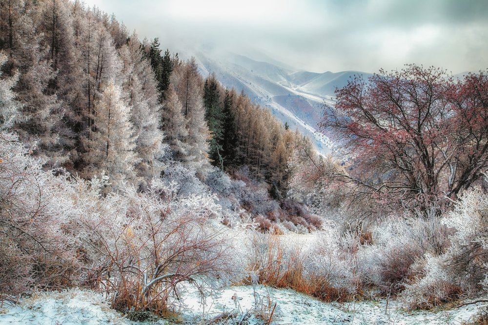 Палитра угасающей осени