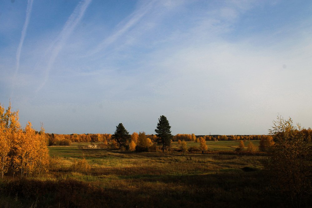 Photograph by Яна Гимадиева