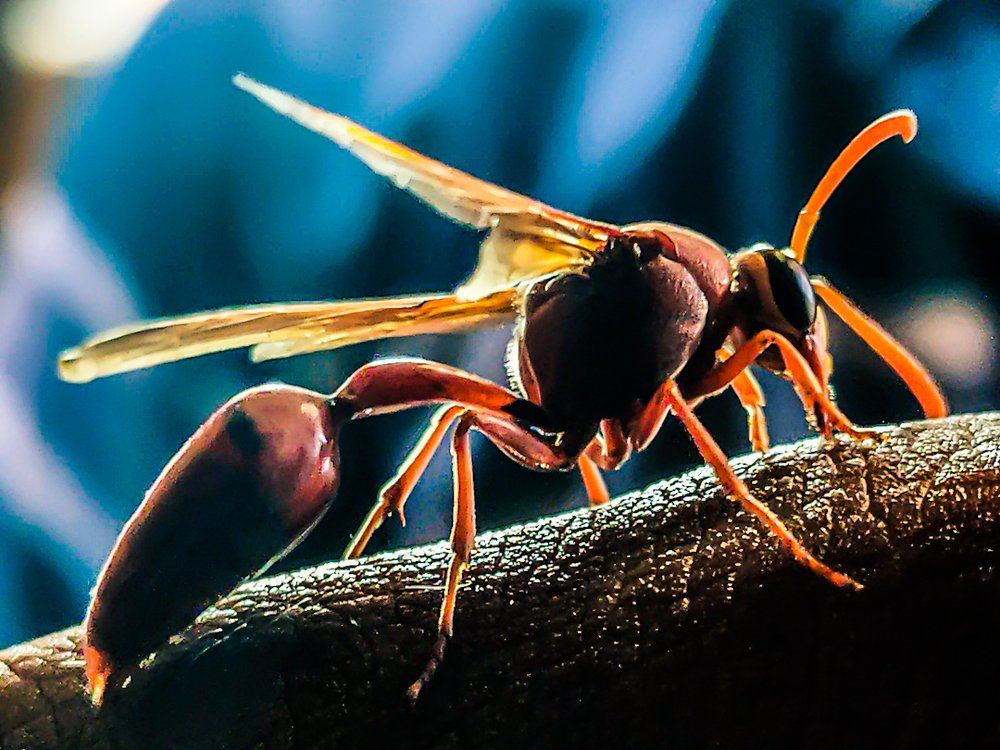 Photograph by Santhosh Santoz