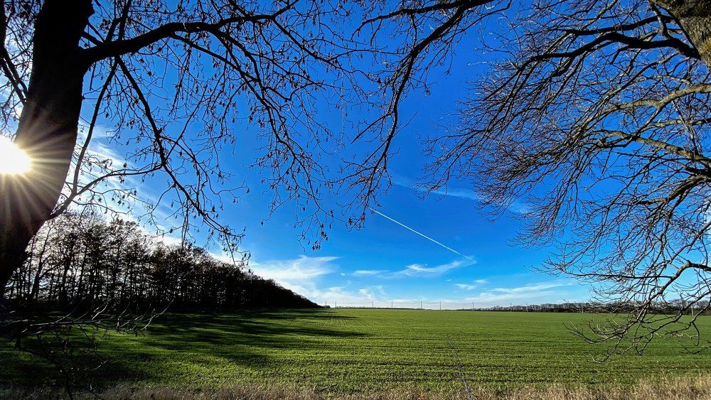 Photograph by Stoyan Baev