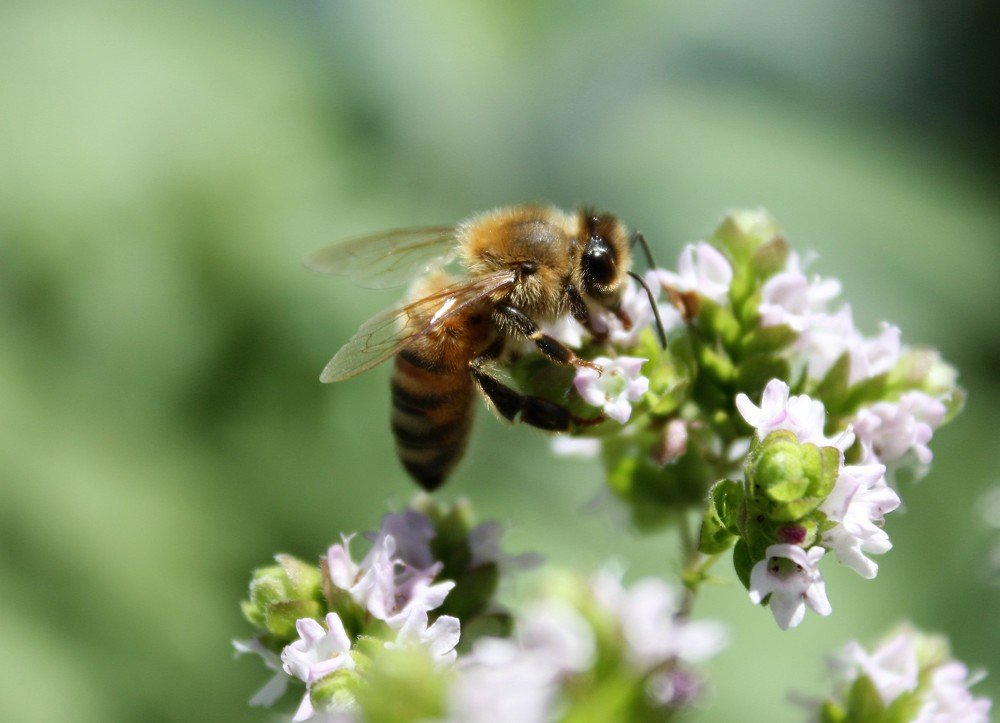 Photograph by Jorge Bagnuoli
