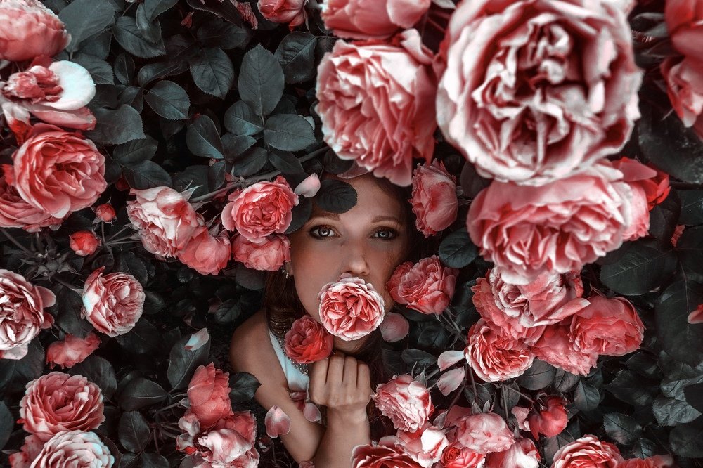 Photograph by Виктория