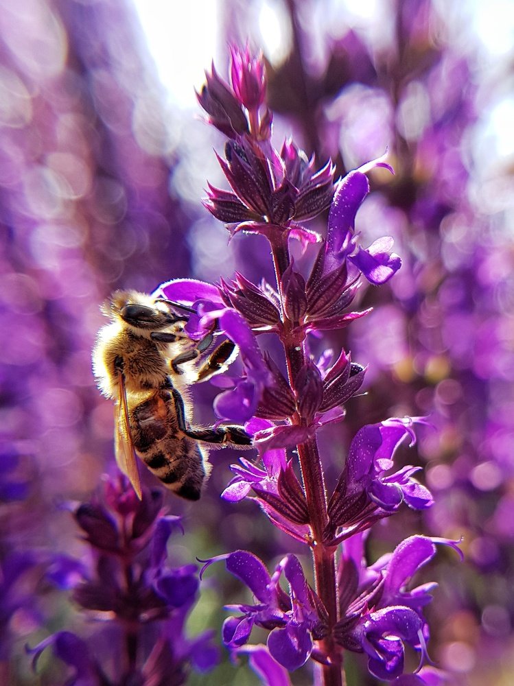 Photograph by Светлана Смирнова