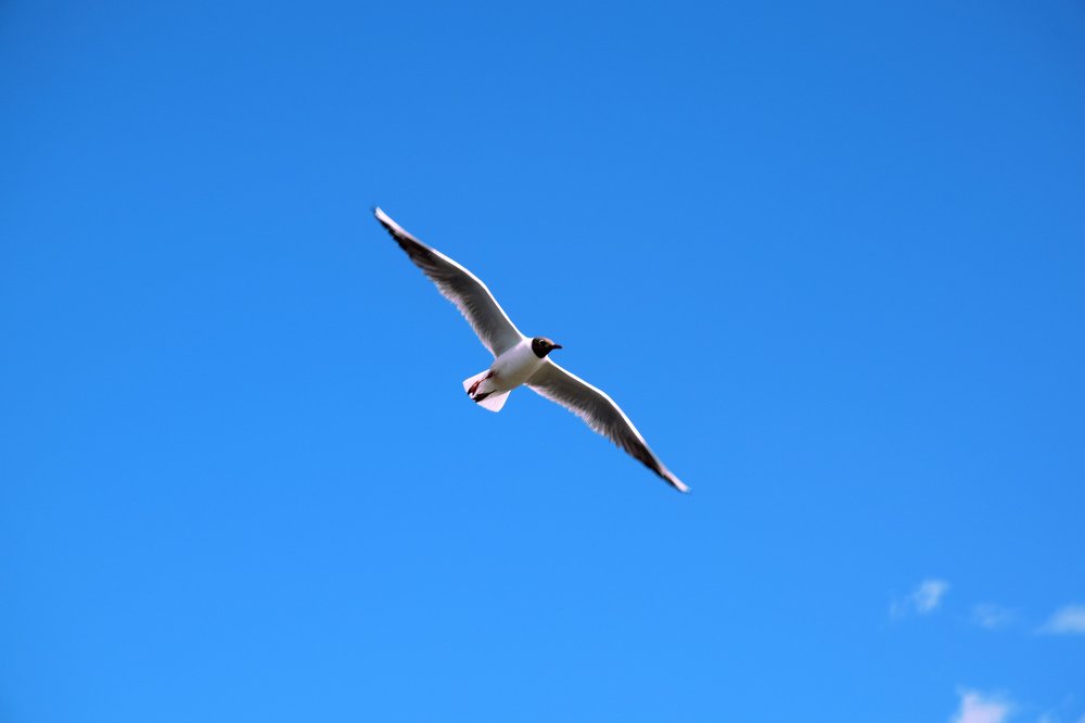 Photograph by Татьяна Дорожко