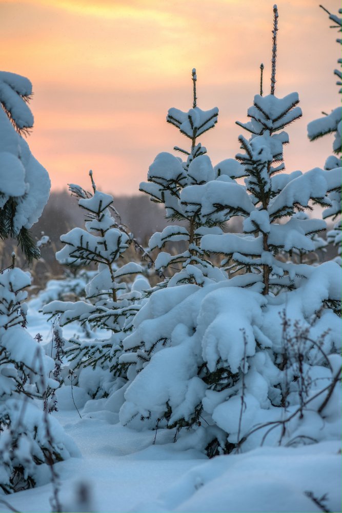 Photograph by Андрей Зуев