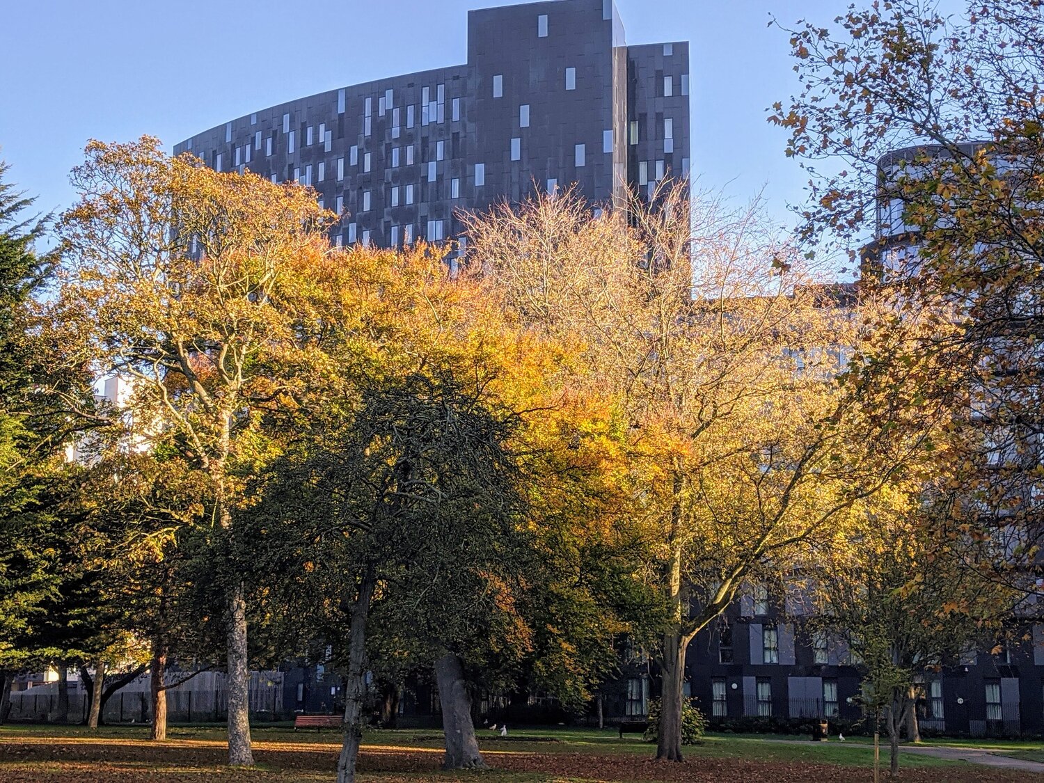 Autumn in Victoria Park, Portsmouth
