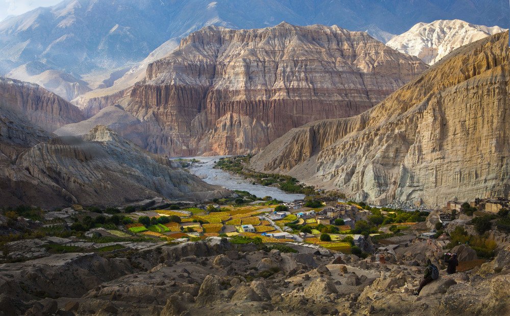 Островок жизни.