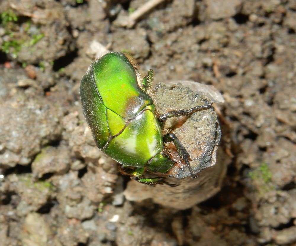 Photograph by Deveshwer Thakur