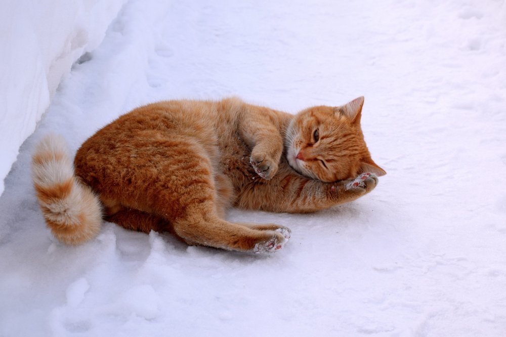 Photograph by Татьяна Дорожко