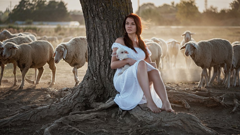 Фотография автора Goran Dobožanov